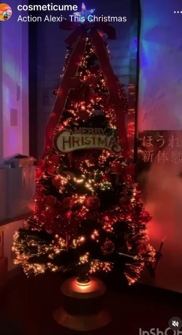 クリスマスツリー「クリスマスセール」