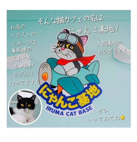 入間市に猫カフェopen 譲渡会 犬猫譲渡会 猫カフェ 譲渡型 狭山湖動物霊園 狭山湖動物霊園のニュース まいぷれ 所沢市 入間市に猫カフェopen 譲渡会 犬猫譲渡会 猫カフェ 譲渡型 狭山湖動物霊園 狭山湖動物霊園のニュース まいぷれ 所沢市