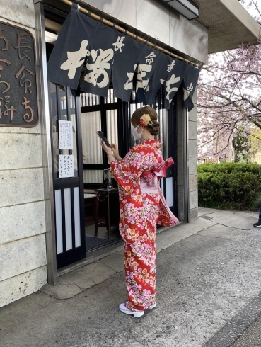 長命寺　名残りの桜です「開店いたします　西船橋駅北口　アンティークDEN」