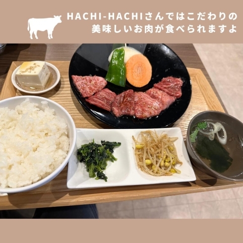 「焼肉HACHI-HACHI【おすすめメニューのご紹介】」