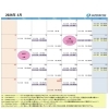 4月スケジュール