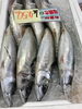 「魚魚市場鮮魚コーナーおすすめは「」