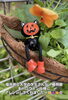 「🎃植物園がハロウィンに🎃【福井韓国風カフェ Hugpopo ハグポポ】」