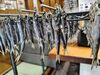「📣本日のお魚情報🐟」