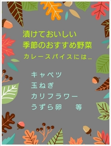 漬けておいしいおすすめ食材「簡単ピクルス作り」