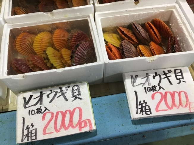 「魚魚市場鮮魚コーナーおすすめは「バナメイエビ」です」