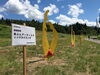 「アクティブサンロックサマー開催中の八海山麓スキー場に行ってきました」