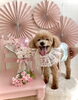 ミルキーくん「Cherry blossom🌸」