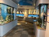 館内「空港に一番近い水族館を訪問/地域No.1のレンタルアクアリウム企業/島田市/癒しの空間/静岡/熱帯魚」