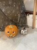 「秋限定！ハロウィン気分で楽しく受けるフェイシャルエステ」