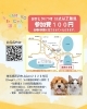 「2025/11/22㈯ 譲渡会(所沢市)保護犬参加情報！㉑ミニチュアダックスフンド　埼玉/所沢・入間・狭山・川越・飯能 　東京/東大和・武蔵村山・東村山・東久留米・小平・立川」