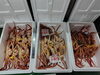 「📣本日のお魚情報🐟」