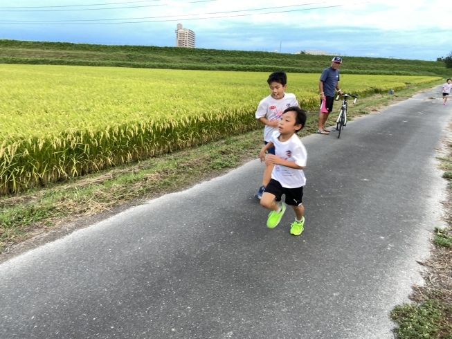 競り合うことで学び合えます。「本日は小学生STEP火木クラス！」