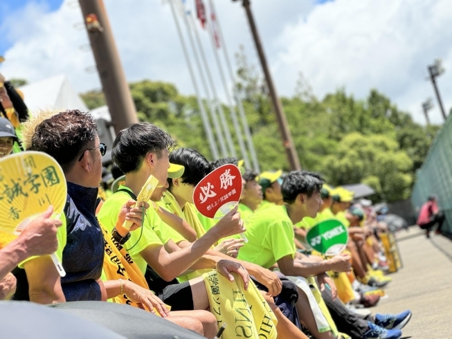 100人近くの応援「9/5にZoomでスポーツアロマ栄養学講座を開催します！」