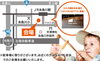 「【 オレンジフェア秋の特別企画 】人間クレーンゲーム&巨大パチンコ in カネタ建設」