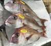 「魚魚市場鮮魚コーナーおすすめは「クロムツ」です♪」