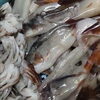 「毎月送らせてもらっている魚のサブスクを発送致します🚛気になる方はホームページから是非ご登録ください😊」