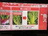 冬野菜はやはり寒くないと。「☆カラフル野菜の小山農園、羽鳥慎一モーニングショーへ☆」