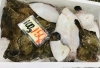 「魚魚市場鮮魚コーナーおすすめ商品は「北海道産生サンマ・カレイ」です♪」