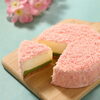 ちいずけぇき-ぷらんたん-「ちいずけぇき ぷらんたん　【伊那市のお土産、ケーキ、スイーツといえばちいずくっきい】」