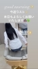 「good morning✨今週ラスト✨本日も宜しくお願い致します🙇🏻‍♀️🍀✨」