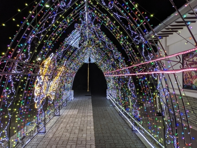 「【石鎚山SA（上り線）　Winter Illumination】」