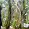 「毎日の食卓にすぐ使える！新鮮な地元野菜がずらりと並ぶ青果売り場へ遊びに来ませんか？」