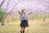桜撮影会「桜撮影会大好評でした」
