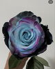 「素敵な想い出のお花をボトルフラワーにお作りできます♡【宮崎/ボトルフラワー/生花加工/生花保存/ドライフラワー】」