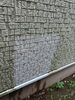 お試し洗浄(50×50のサイズ)「市川市若宮】日の当たらない北側外壁の「苔汚れ」をスッキリ洗浄！施工事例をご紹介」