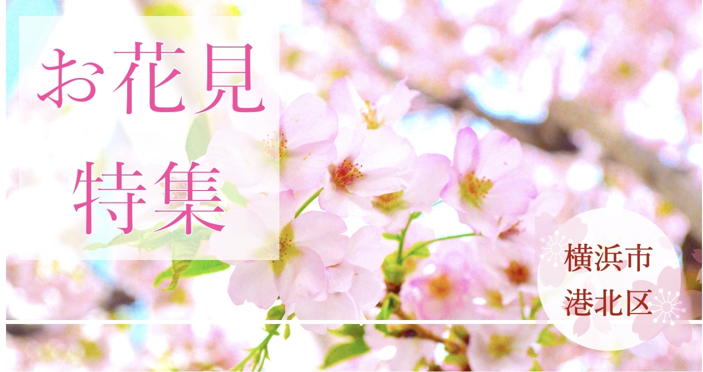 港北区のお花見特集 桜 梅の名所一覧 まいぷれ 横浜市港北区 港北区のお花見特集 桜 梅の名所一覧 まいぷれ 横浜市港北区