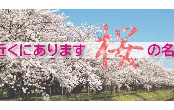 広島市安芸区・安芸郡の桜　お花見スポットならココ！