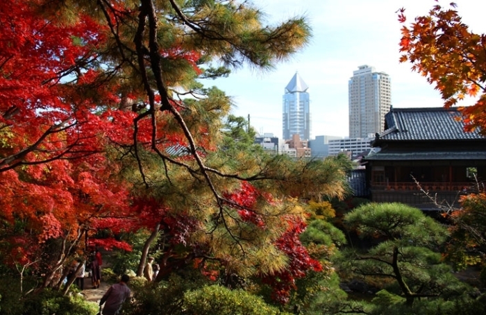 新潟市の紅葉スポット 新潟市のおでかけ情報まとめ まいぷれ 新潟市 新潟市の紅葉スポット 新潟市のおでかけ情報まとめ まいぷれ 新潟市
