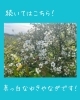 春の訪れ　里山の癒し空間「さんさん平島で楽しめる、4月の「庭のいきものたち」のご紹介」
