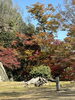 備中松山城「秋の紅葉🍁」
