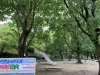 遊具は少し「◇子連れお出かけスポット情報◇〜西浦南公園〜」