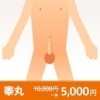 睾丸