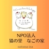 なごの家はNPO法人を設立しました「元気な子猫がお待ちしています」