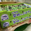 「「種なしピオーネ」も入荷始まってます🍇 山梨県産　「種なしピオーネ」」