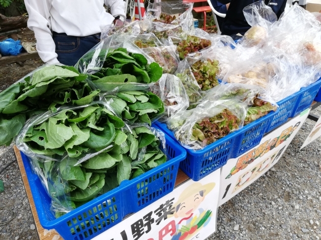 低農薬野菜を１００円で販売しています。「【事務局より】便利やＤａｙをちょっぴり再開！！」