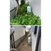 空き家の伐採と除草作業「川西市矢問で空き家の伐採と除草作業をしました！」
