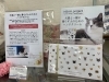 犬猫と一緒に暮らす人のためのハンドクリーム「猫グッズ取り扱い中【シャディホームハタヤ】」