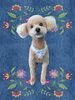 「Dog salon mofu mofu　余市町」