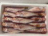 「大祭用掛け魚並んでまーす♤」