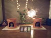 「2月のサロン臨時休業のお知らせ📢」