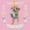 「Dog salon mofu mofu　余市町」
