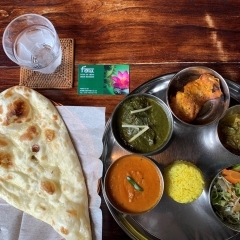 本格的インド料理　Taste of INDIA few におひとりさまランチに行ってきました。