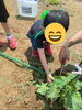 農作業！「冬があるから「有難い」？」