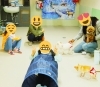 「今日のお友達」