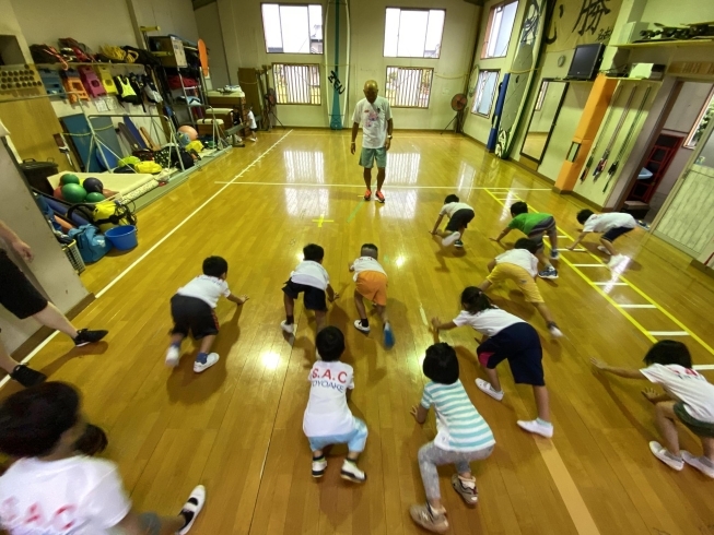 飛んだら跳ねたり、しゃがんだり。複合的な動きが◎「年少さんからの幼児クラス！HOP KIDです☆」